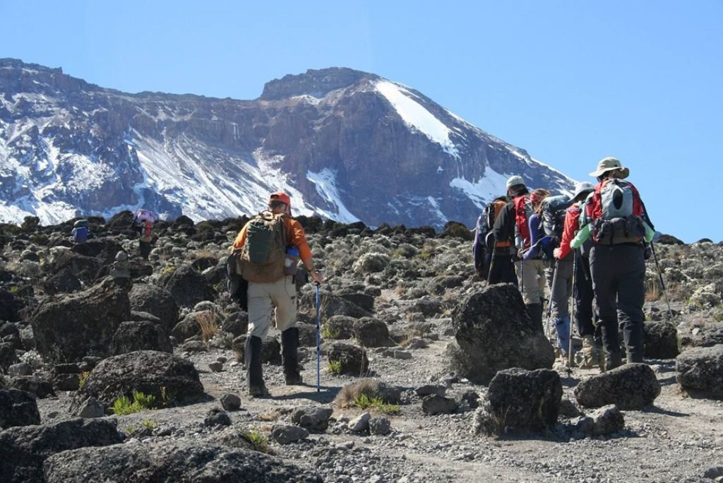 Climb Mount Kilimanjaro  