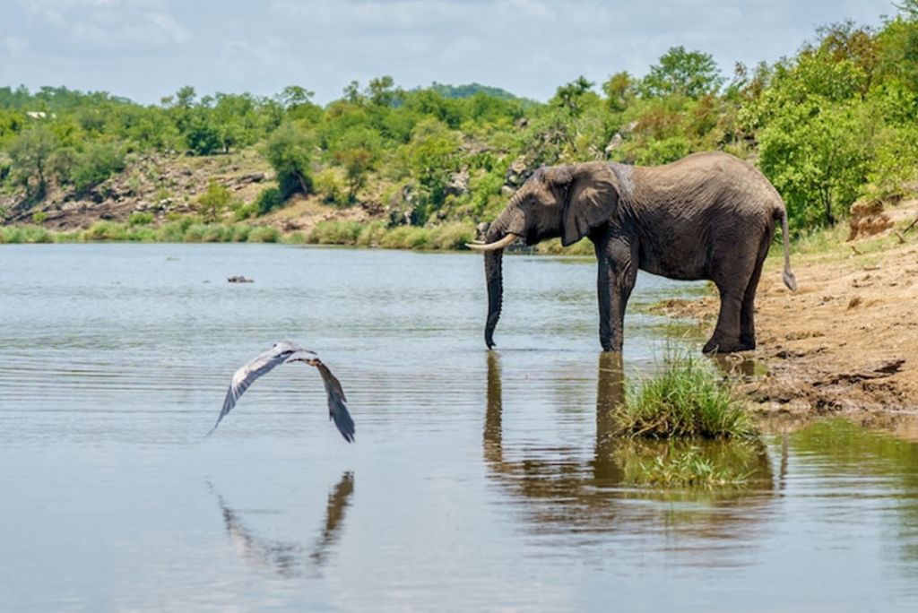 Lake Manyara National Park