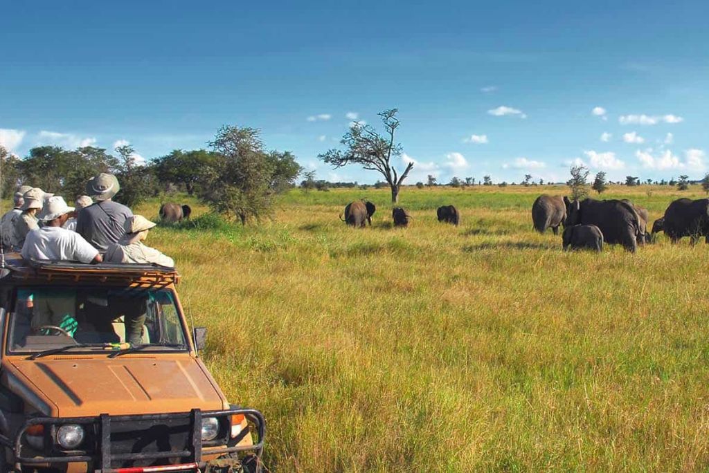 tanzania safari safety