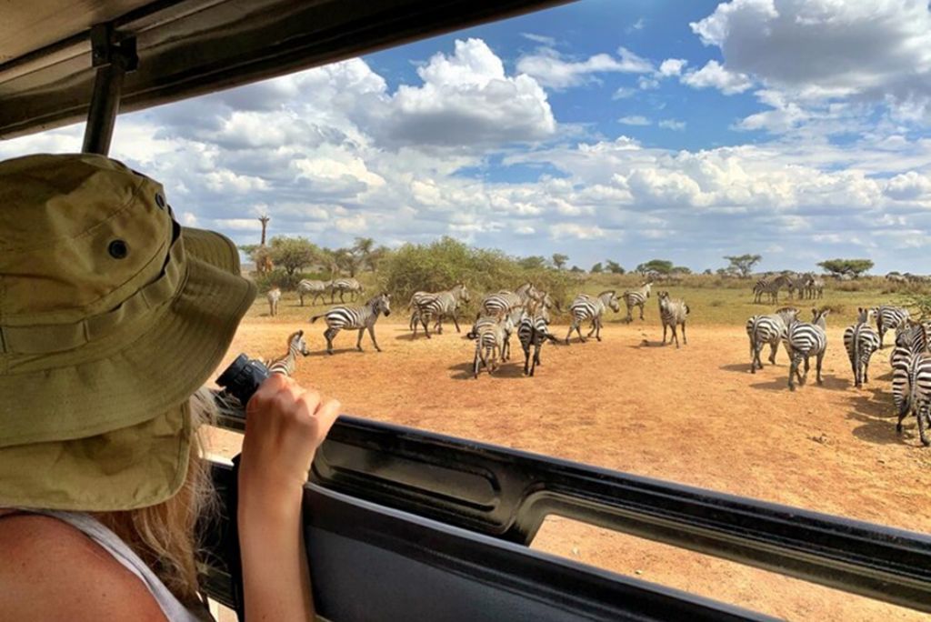 Private or Group Safari