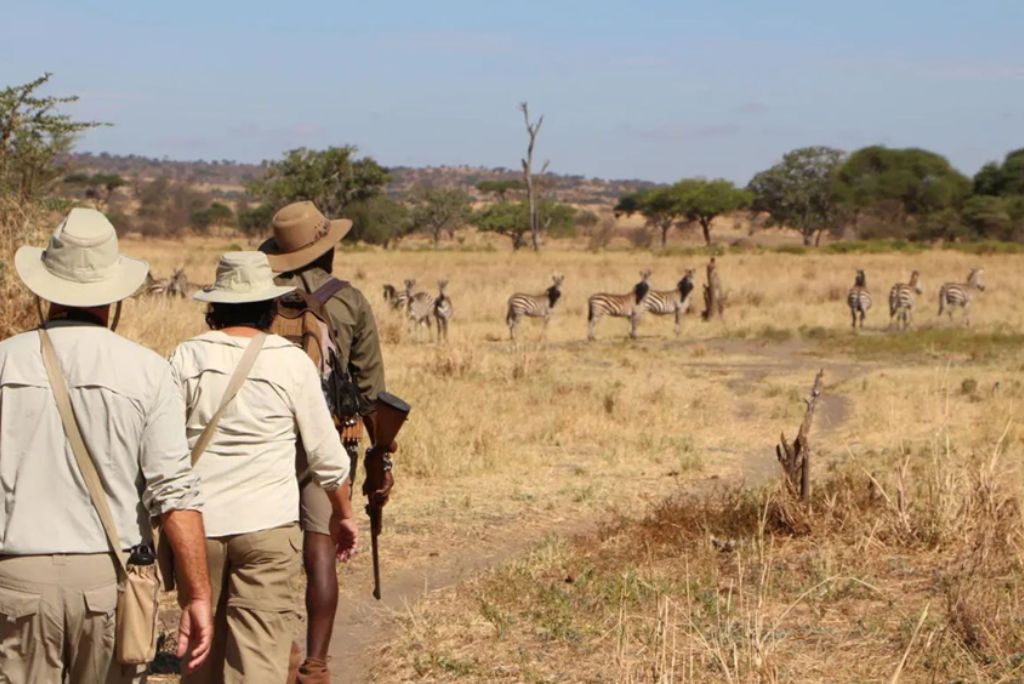 Safari Operator in Tanzania