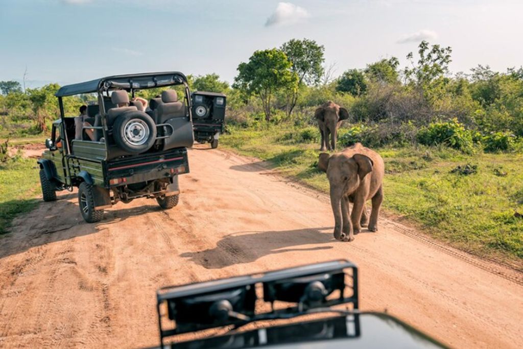 Tanzania Safari Vehicles