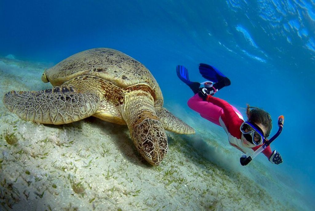 Snorkel Drive in Zanzibar