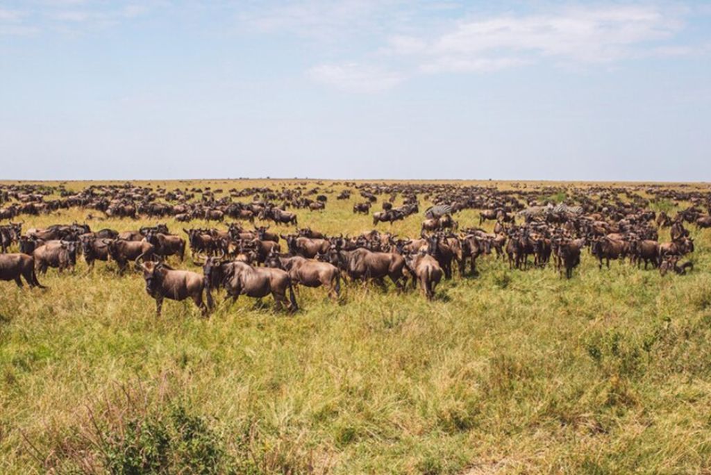 Tanzania Tourist Attractions