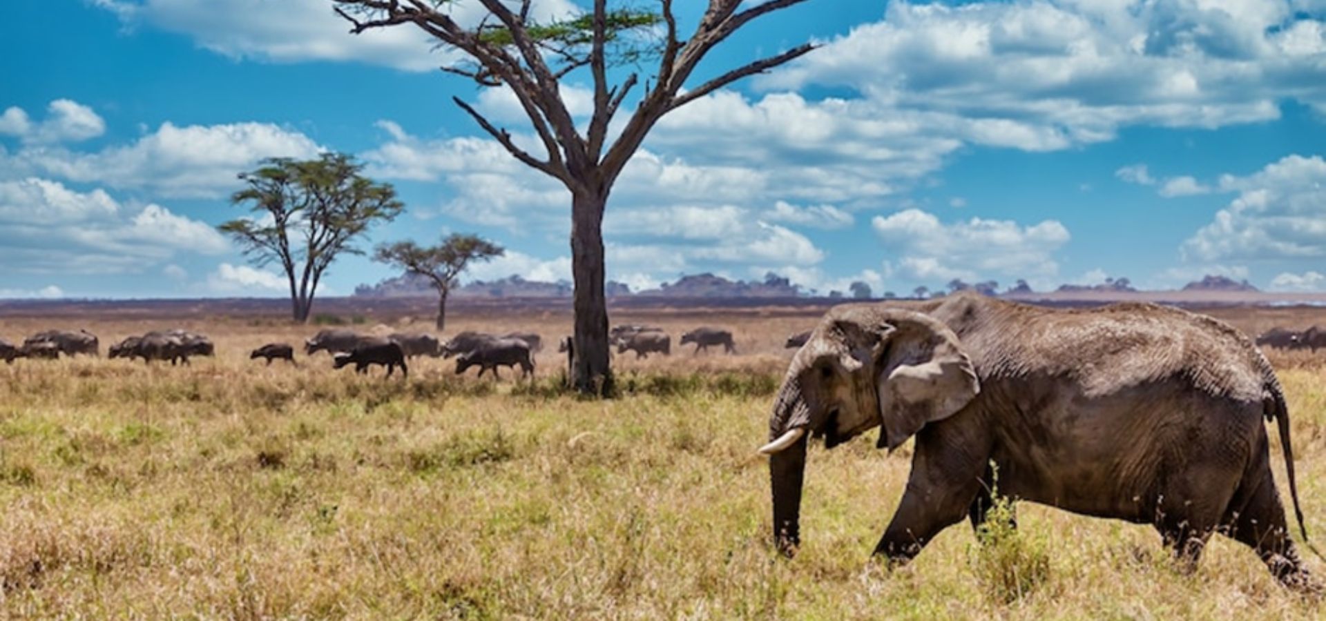 Tourist Attractions in Tanzania