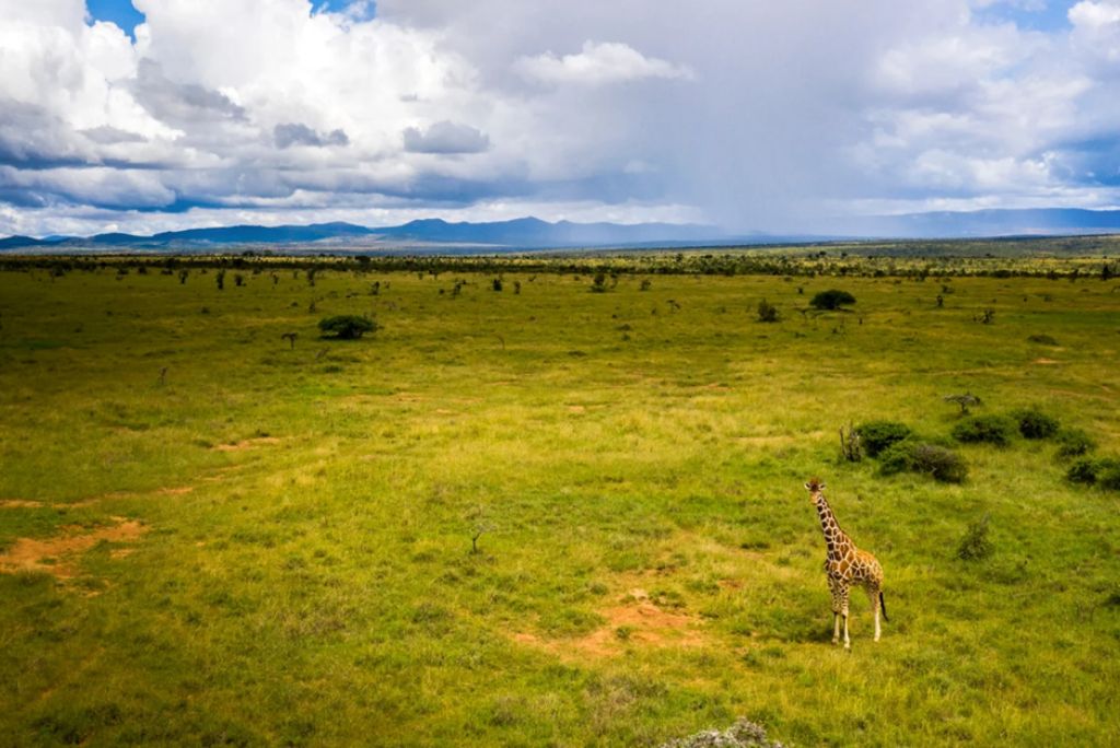 Ngorongoro Conservation Area