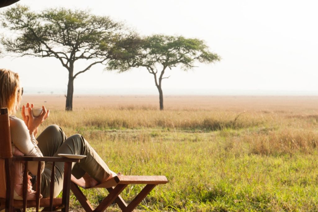 Safari Tours in Tanzania