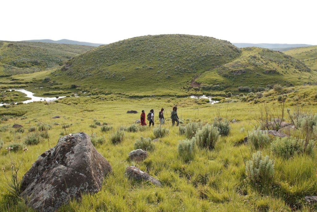Safari Tours in Tanzania