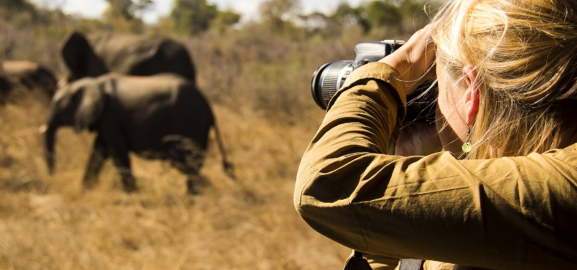 Safari Tours in Tanzania