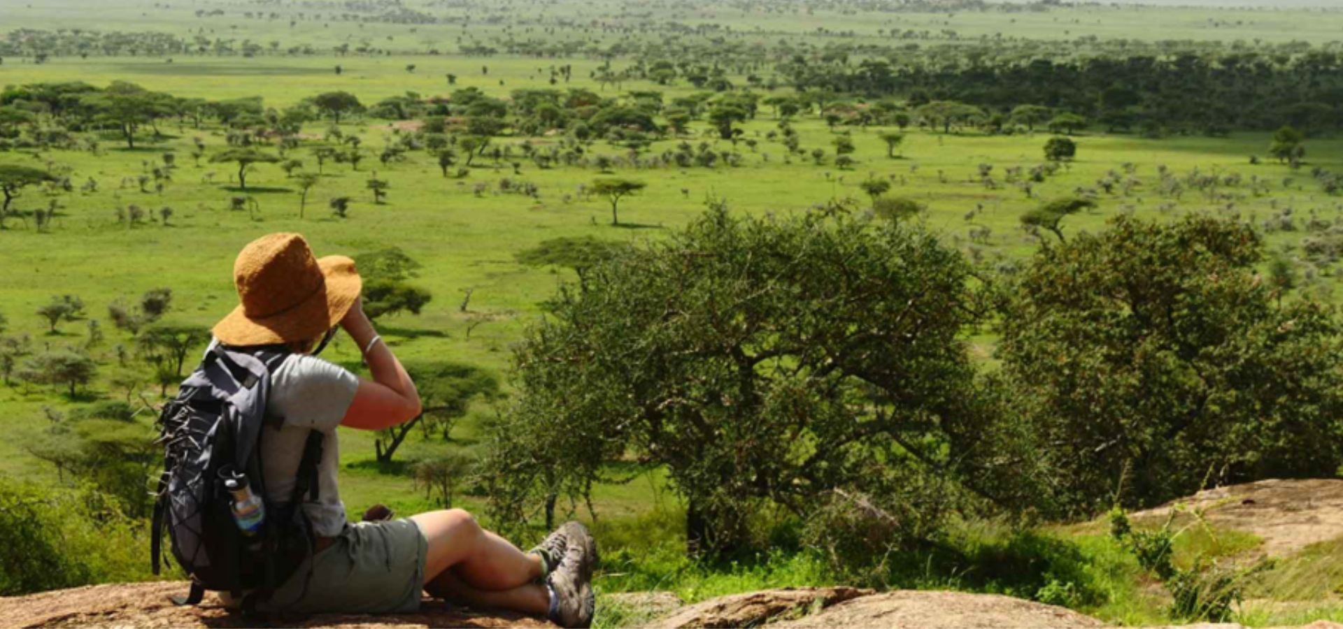 Safaris in Tanzania